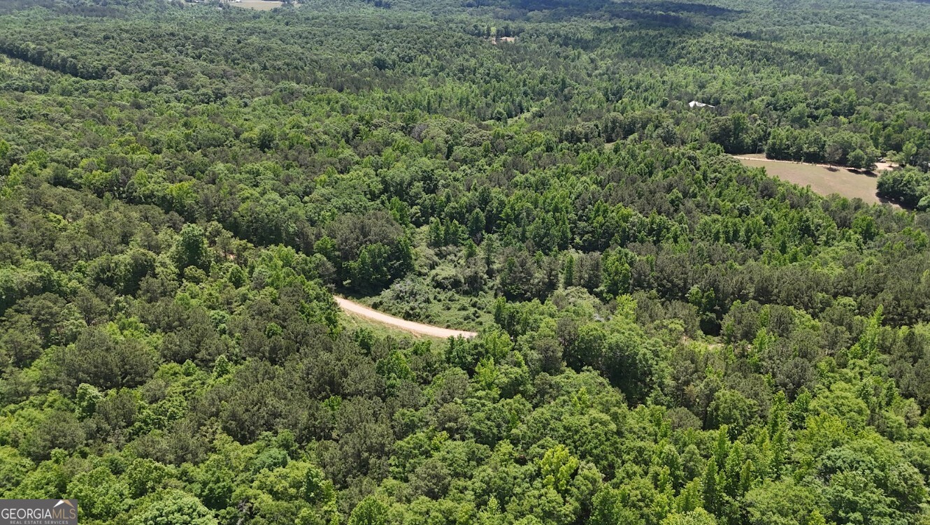 0 Creek Road, Unit LOT 2 Ashland, AL 36251 - Photo 12 of 20