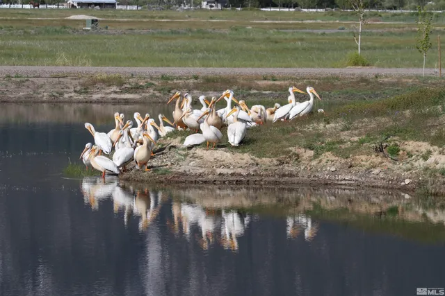 a view of an ocean beach