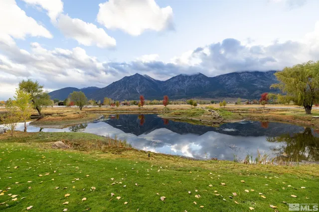 a view of a lake from a yard