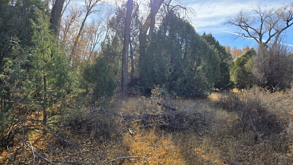 126 Cedar Ridge Road Mosca, CO 81146 - Photo 11 of 18