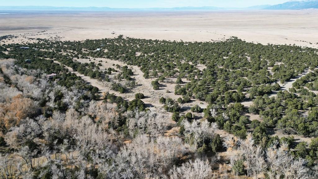 126 Cedar Ridge Road Mosca, CO 81146 - Photo 15 of 18