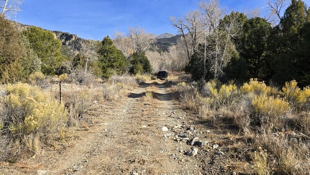 126 Cedar Ridge Road Mosca, CO 81146 - Photo 7 of 18