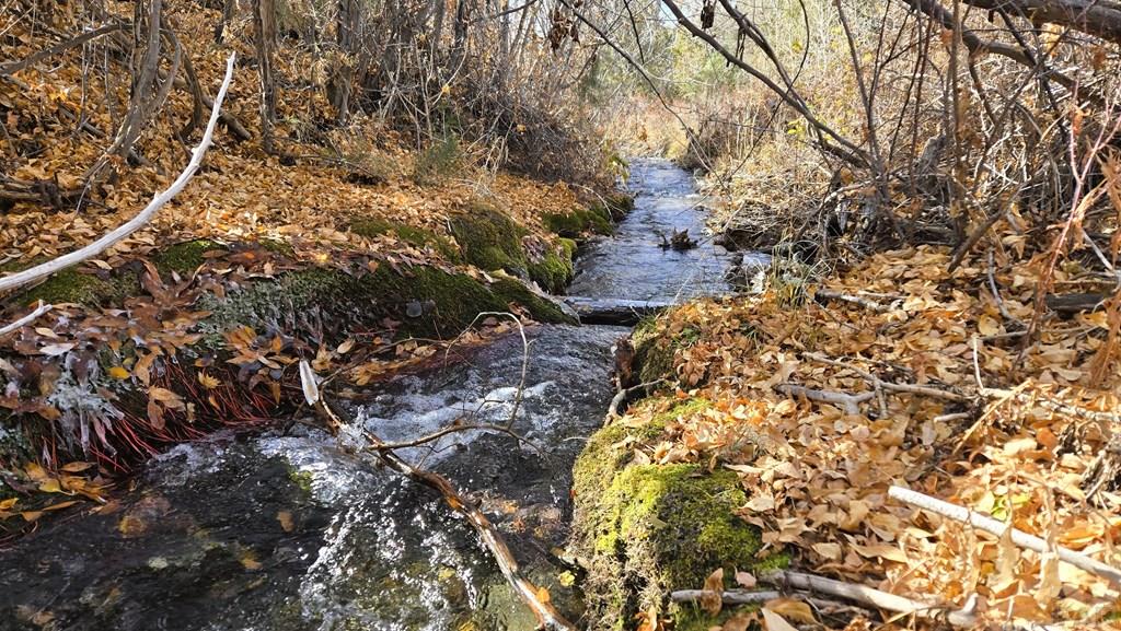 126 Cedar Ridge Road Mosca, CO 81146 - Photo 9 of 18