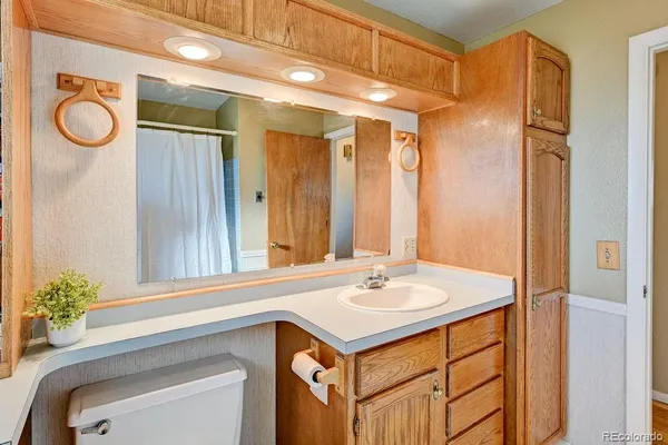 a bathroom with a sink vanity and a mirror
