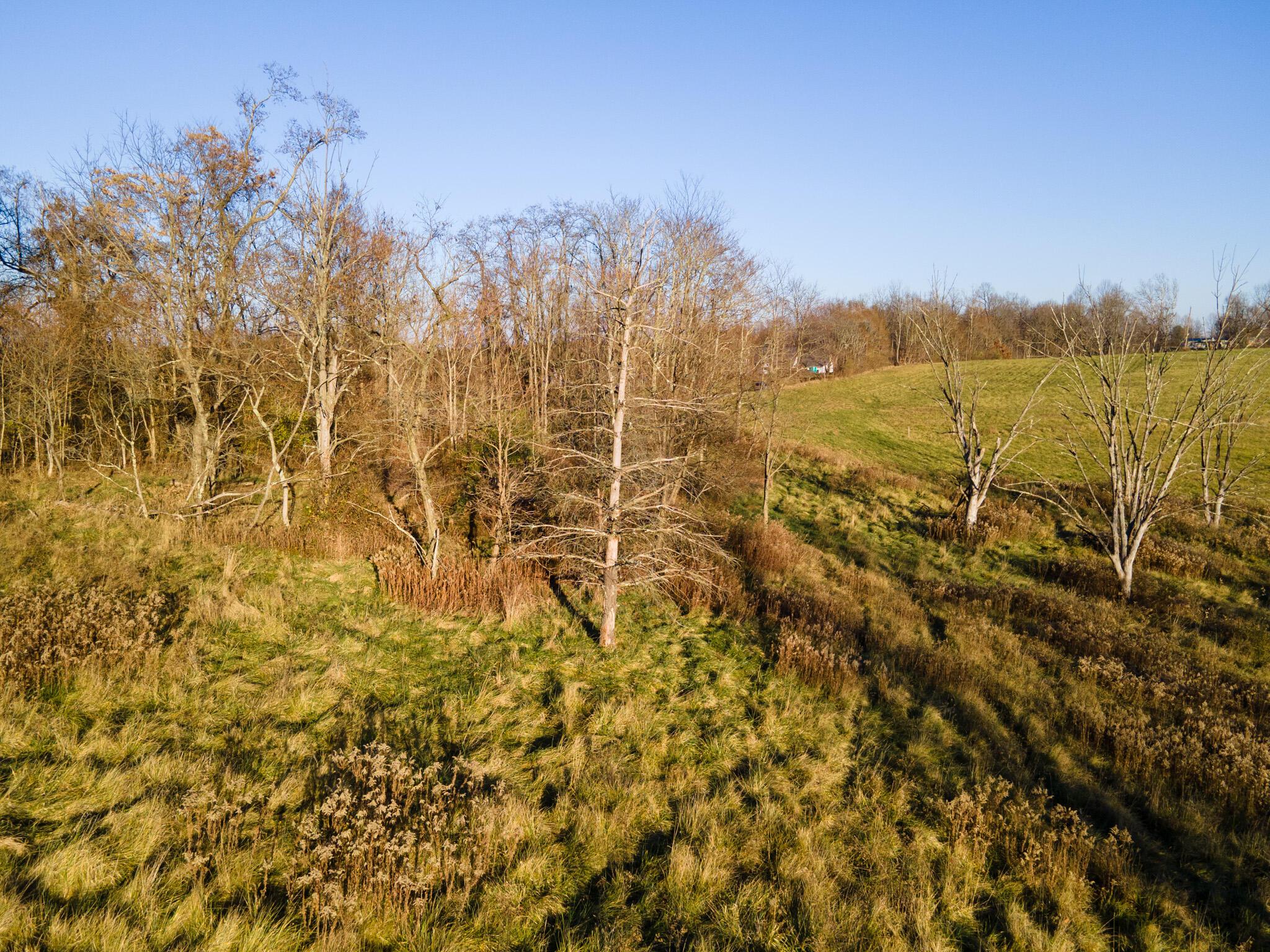 0 Maxille Road Logan, OH 43138 - Photo 15 of 19 DJI_0212