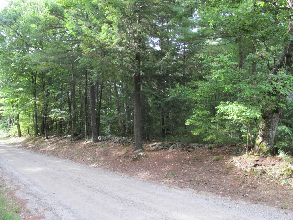 Lot 5 Leonard Road Shutesbury, MA 01072 - Photo 3 of 7 Gallery Image 3