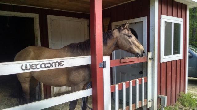 552 Durgintown Road Hiram, ME 04041 - Photo 14 of 24 Stable and tack room! Horse not...