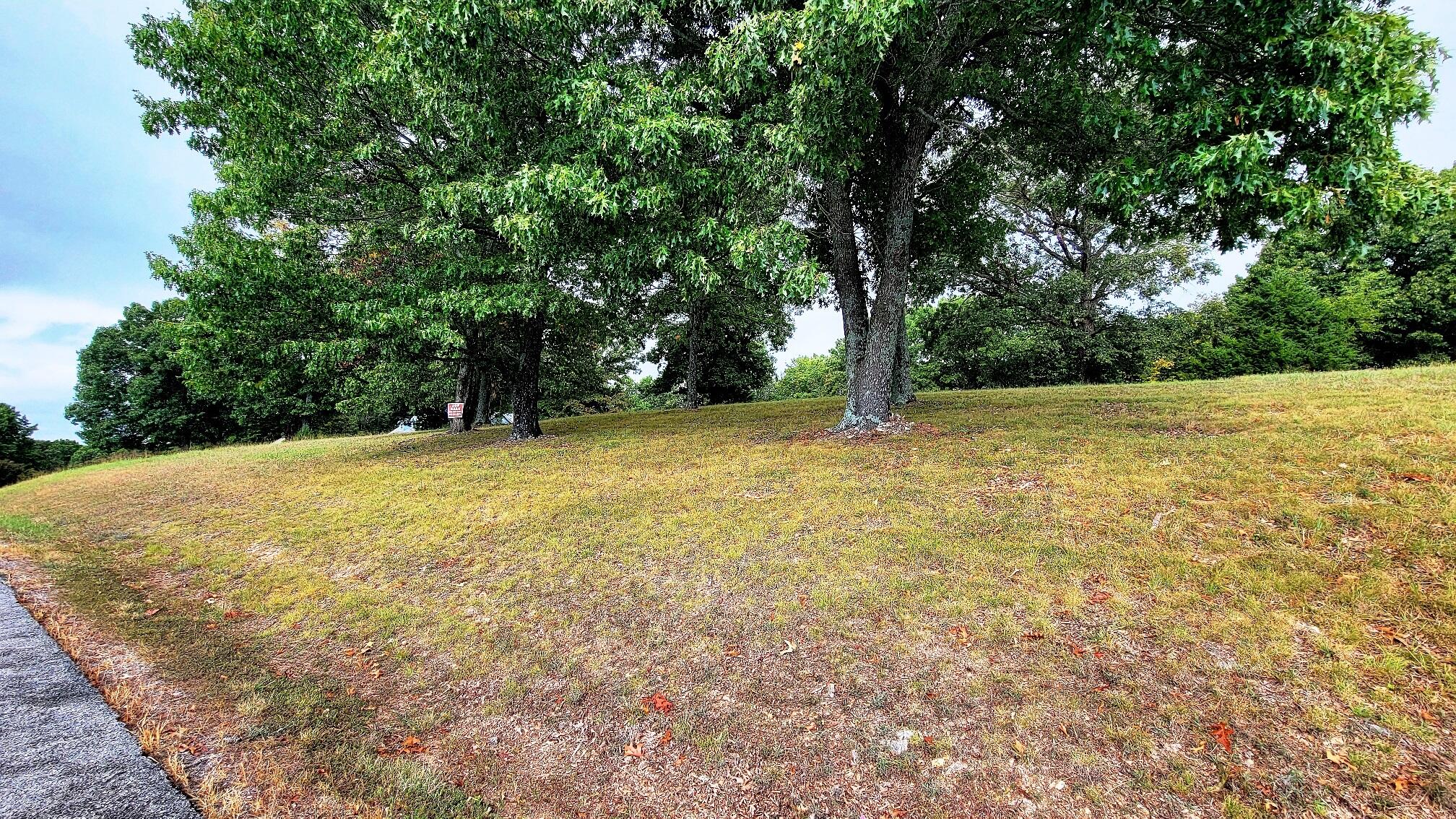 0 Eagle Ridge Lane Reeds Spring, MO 65737 - Photo 28 of 30 3
