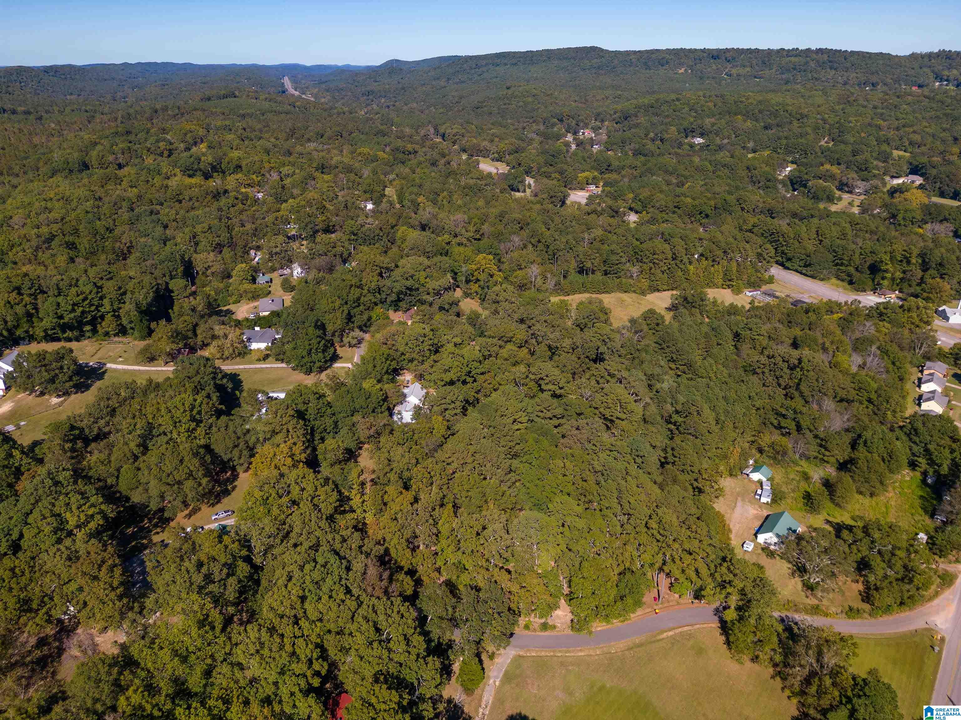 8073 West Hill Road Pinson, AL 35126 - Photo 45 of 50