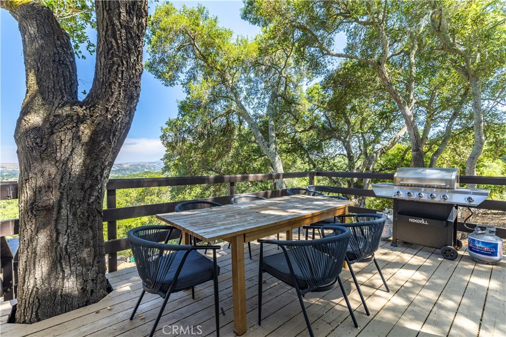 2570 Alturas Road Atascadero, CA 93422 - Photo 62 of 64 BBQ deck off of kitchen