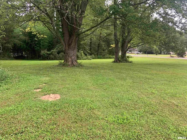 $21,500 | 0 Harris Lane, Murphysboro, IL 62966