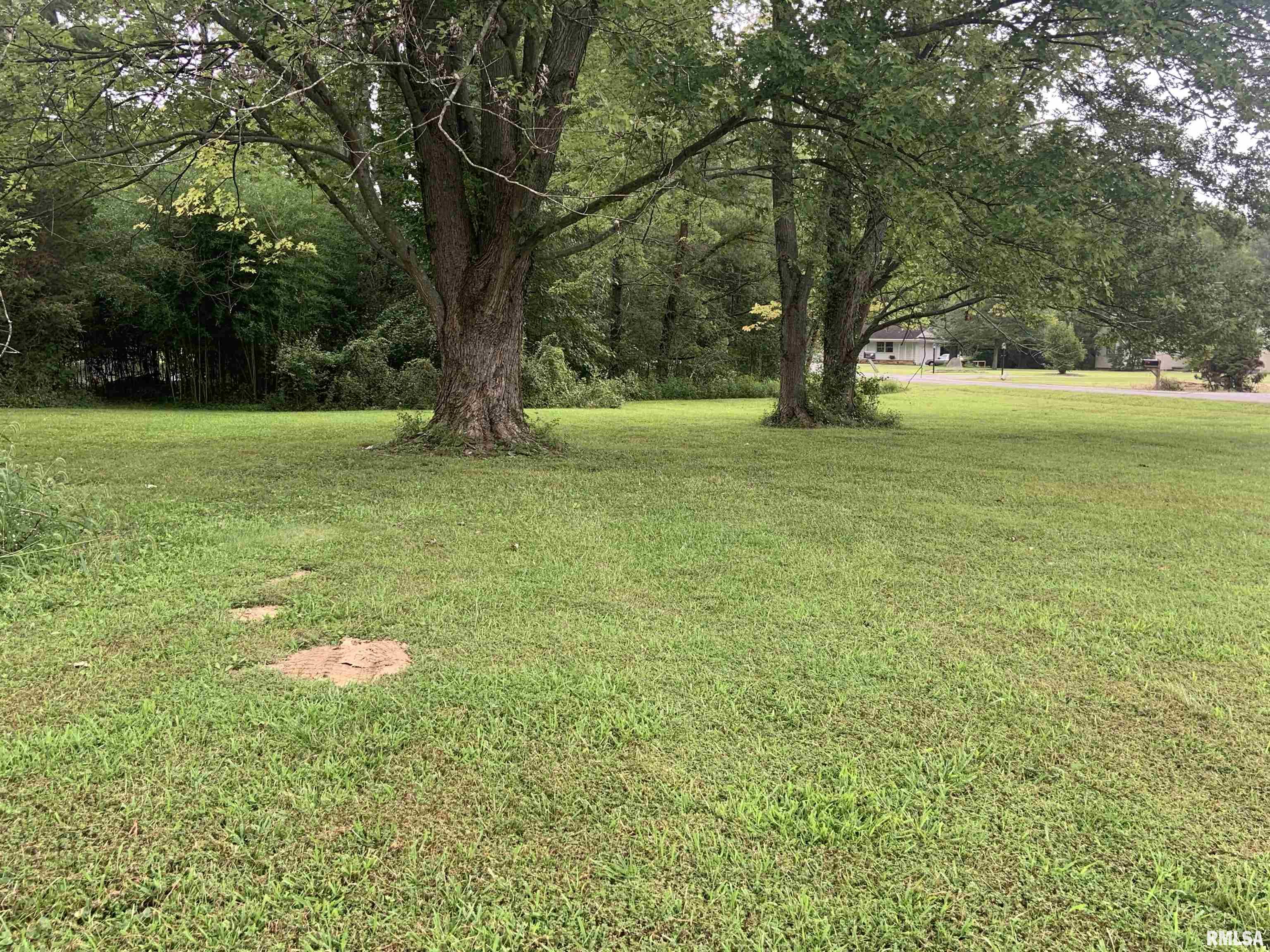 0 Harris Lane Murphysboro, IL 62966 - Photo 2 of 5