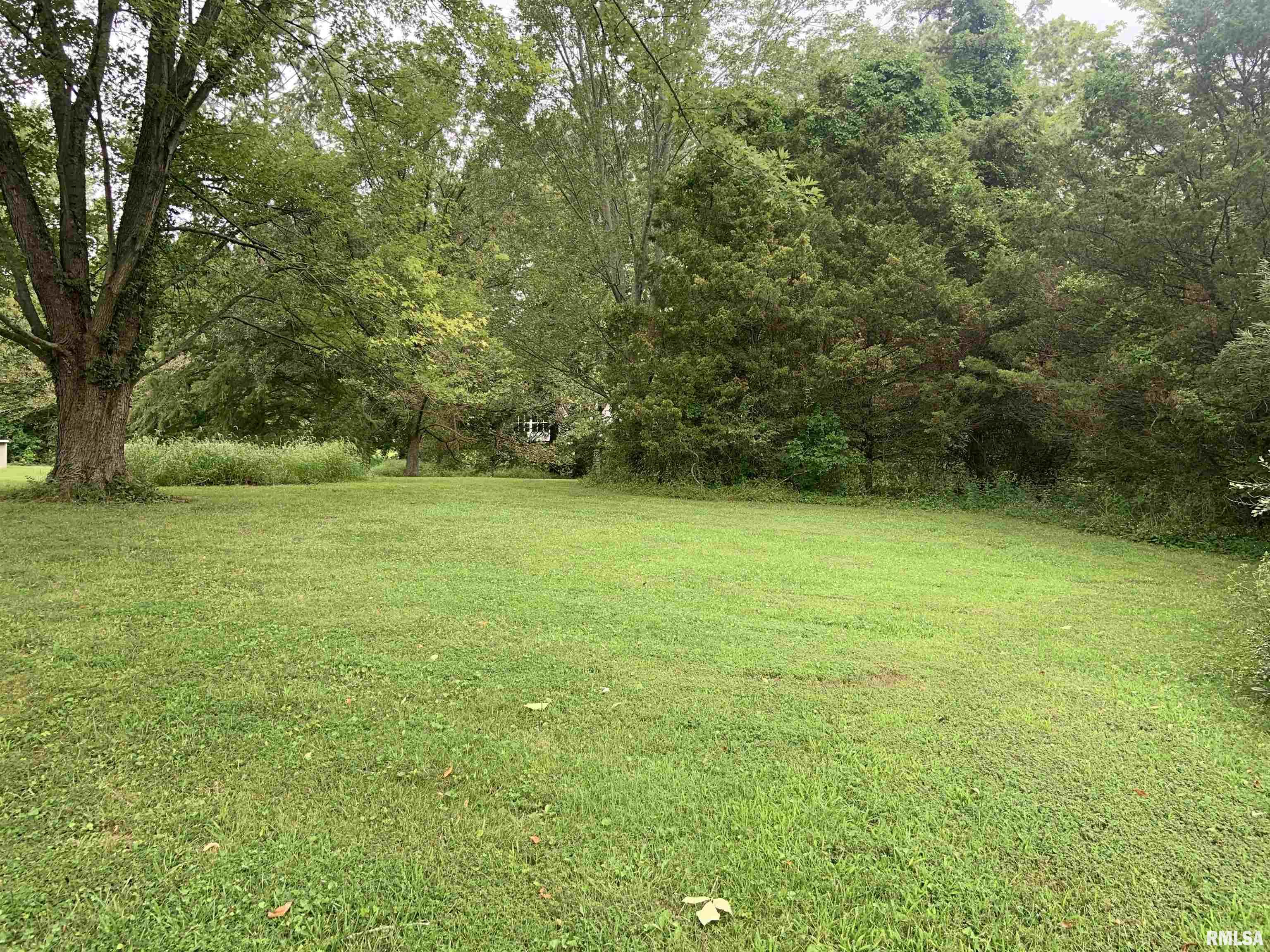 0 Harris Lane Murphysboro, IL 62966 - Photo 4 of 5