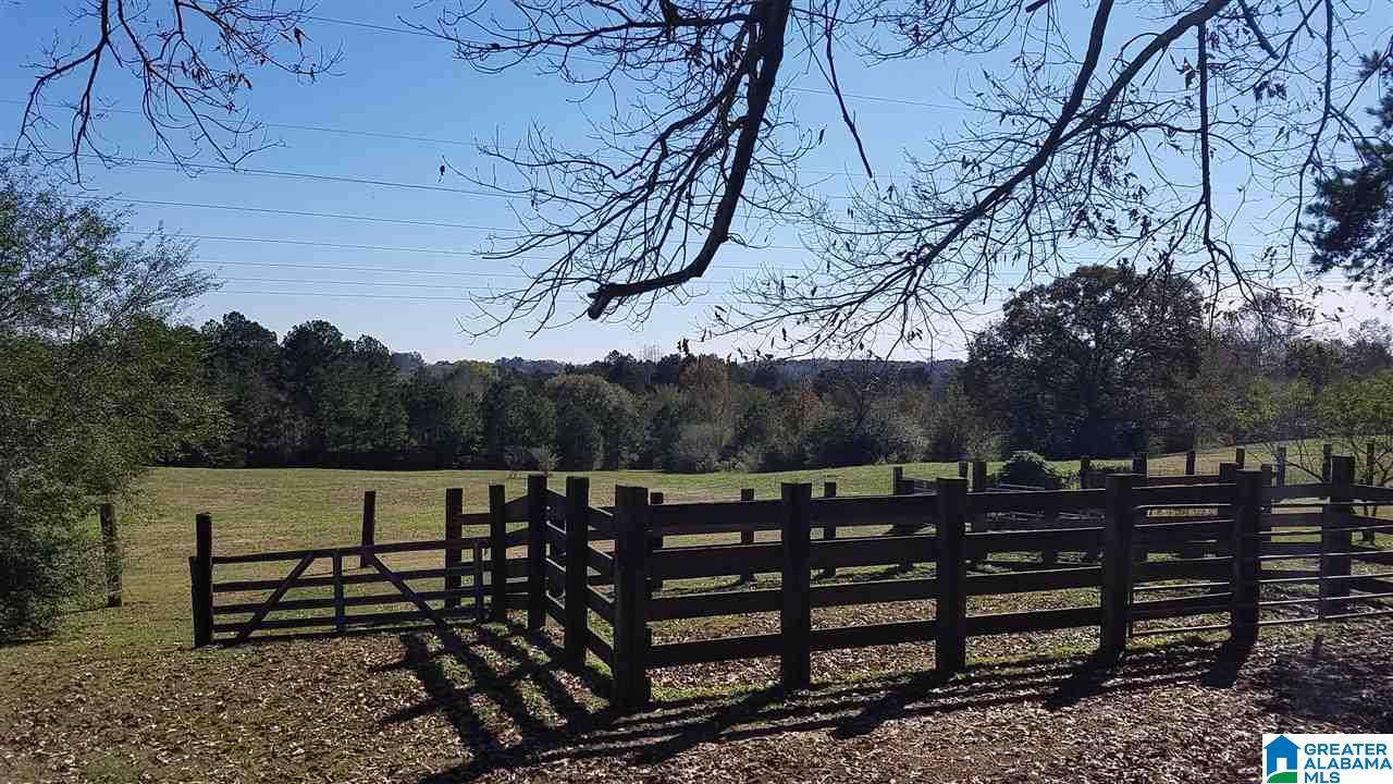 298 Bowerman Road Blountsville, AL 35031 - Photo 9 of 30