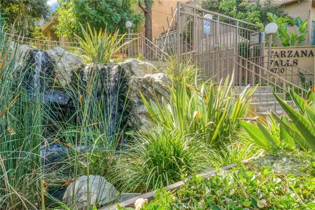 a potted plant sitting in front of a house