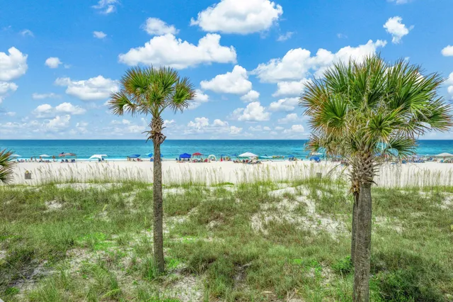 a view of an ocean and beach