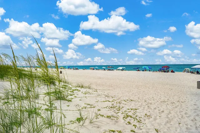 a view of a lake with a city