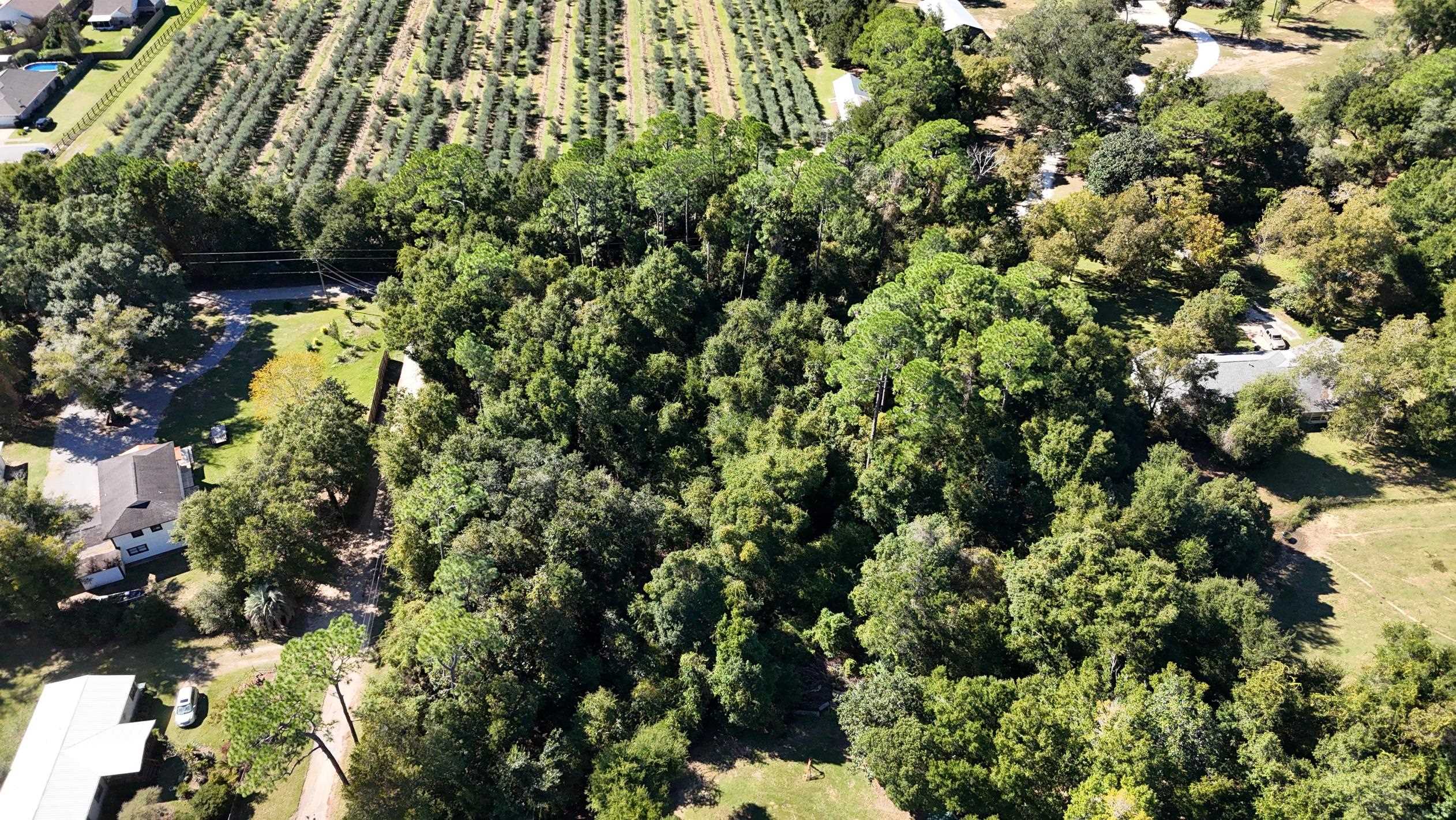 0 Perdido Street Lillian, AL 36549 - Photo 13 of 18 Aerial View