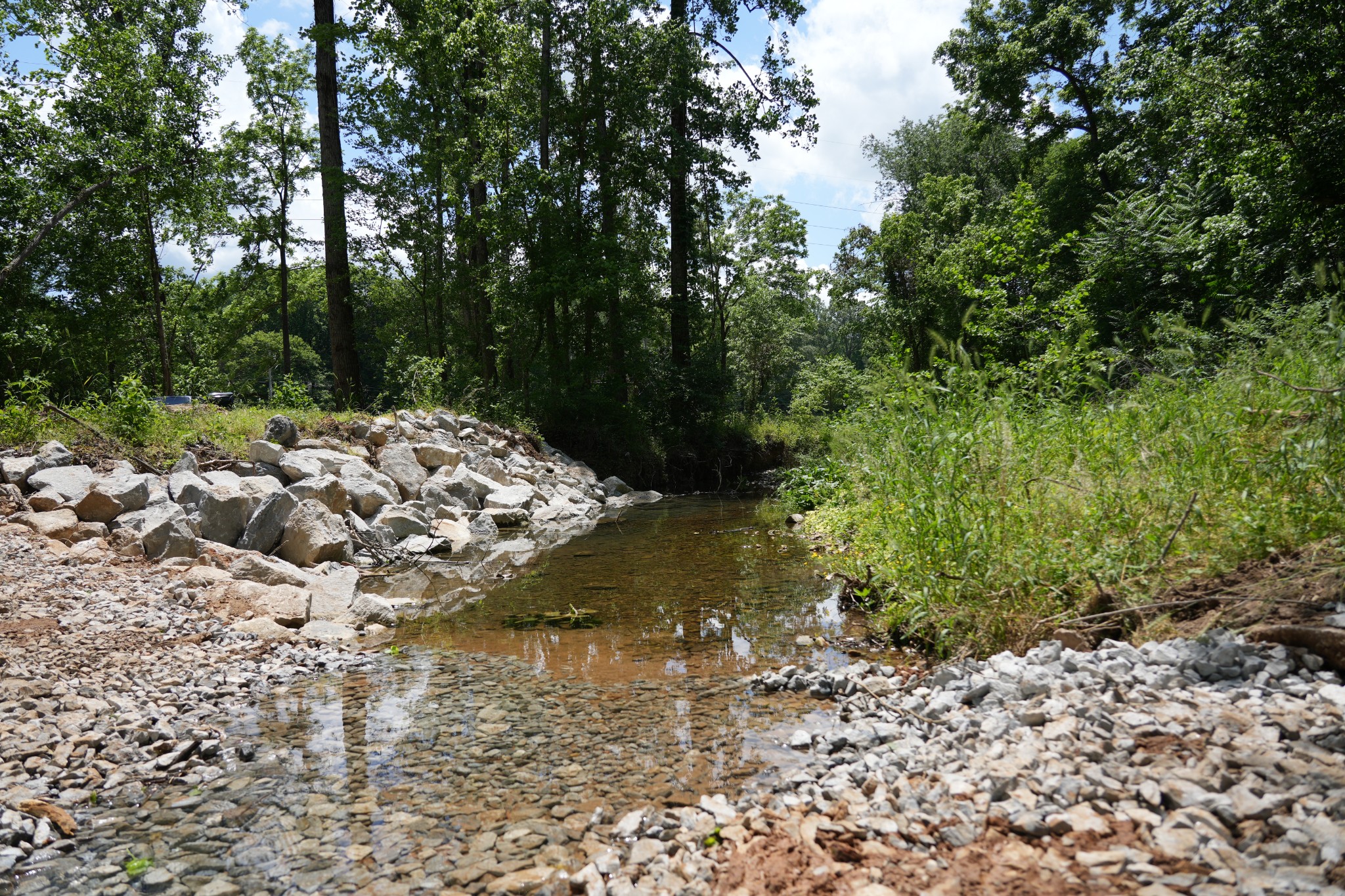 1 Budds Creek Road Palmyra, TN 37142 - Photo 9 of 76