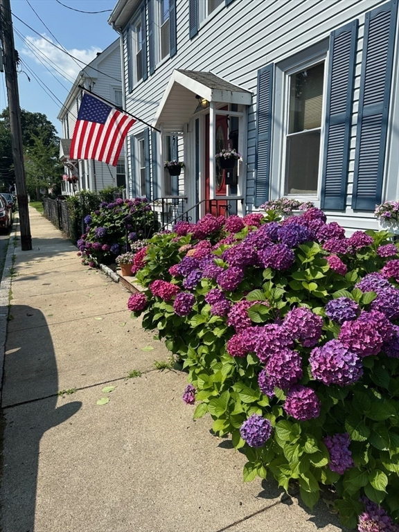 16 Port Norfolk Street, Unit 2 Boston, MA 02122 - Photo 2 of 20 a front view of a house