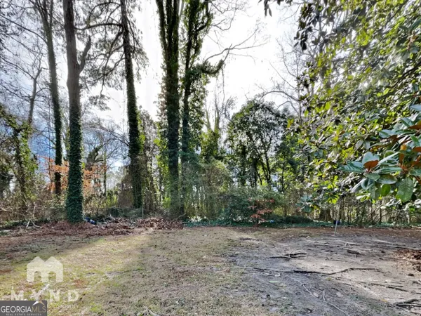 a view of a yard with a tree