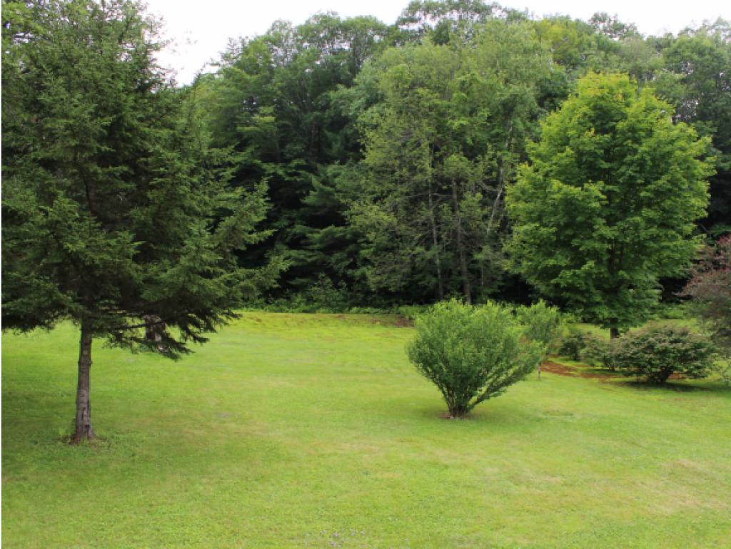 265 East West Road Dummerston, VT 05346 - Photo 22 of 22