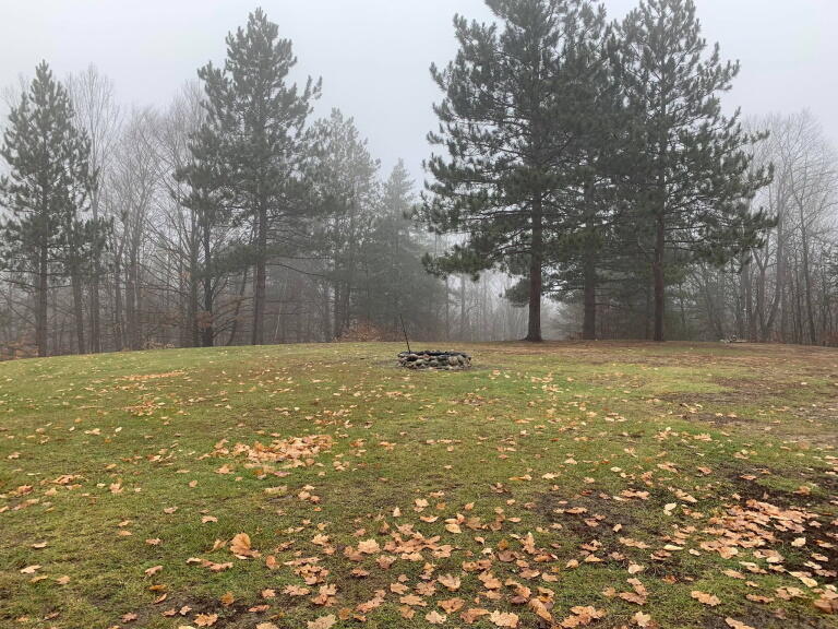 1020 Snake Branch Road Mio, MI 48647 - Photo 27 of 35 Gallery Image 27