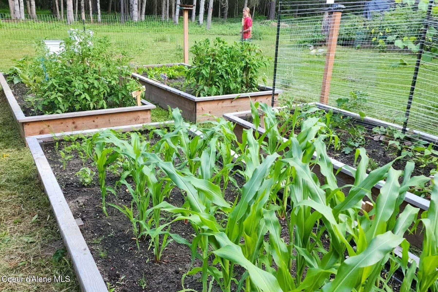 870-842 Samuels Road Sandpoint, ID 83864 - Photo 42 of 67 Garden in the Summertime