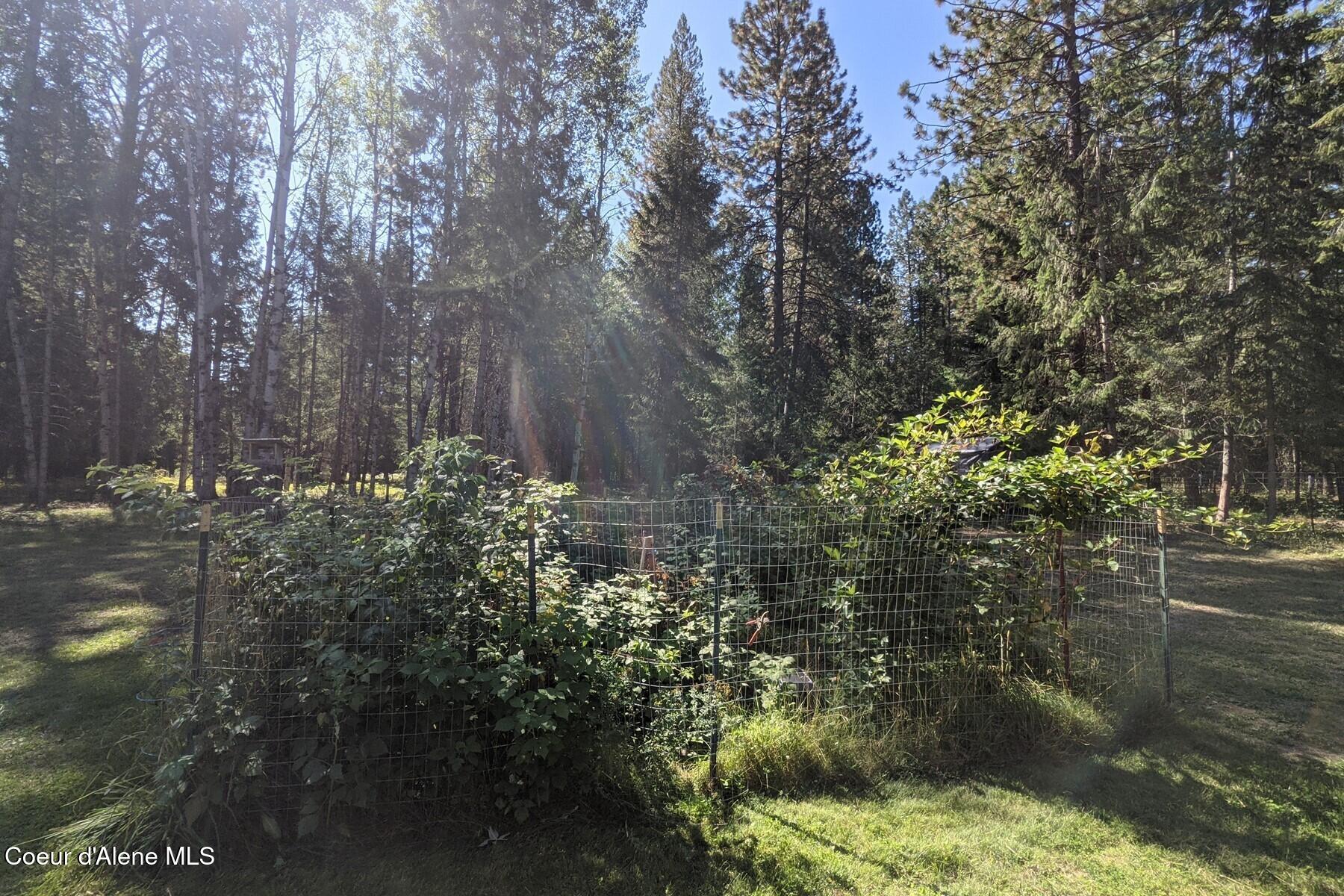 870-842 Samuels Road Sandpoint, ID 83864 - Photo 50 of 67 Prolific Berry Patch