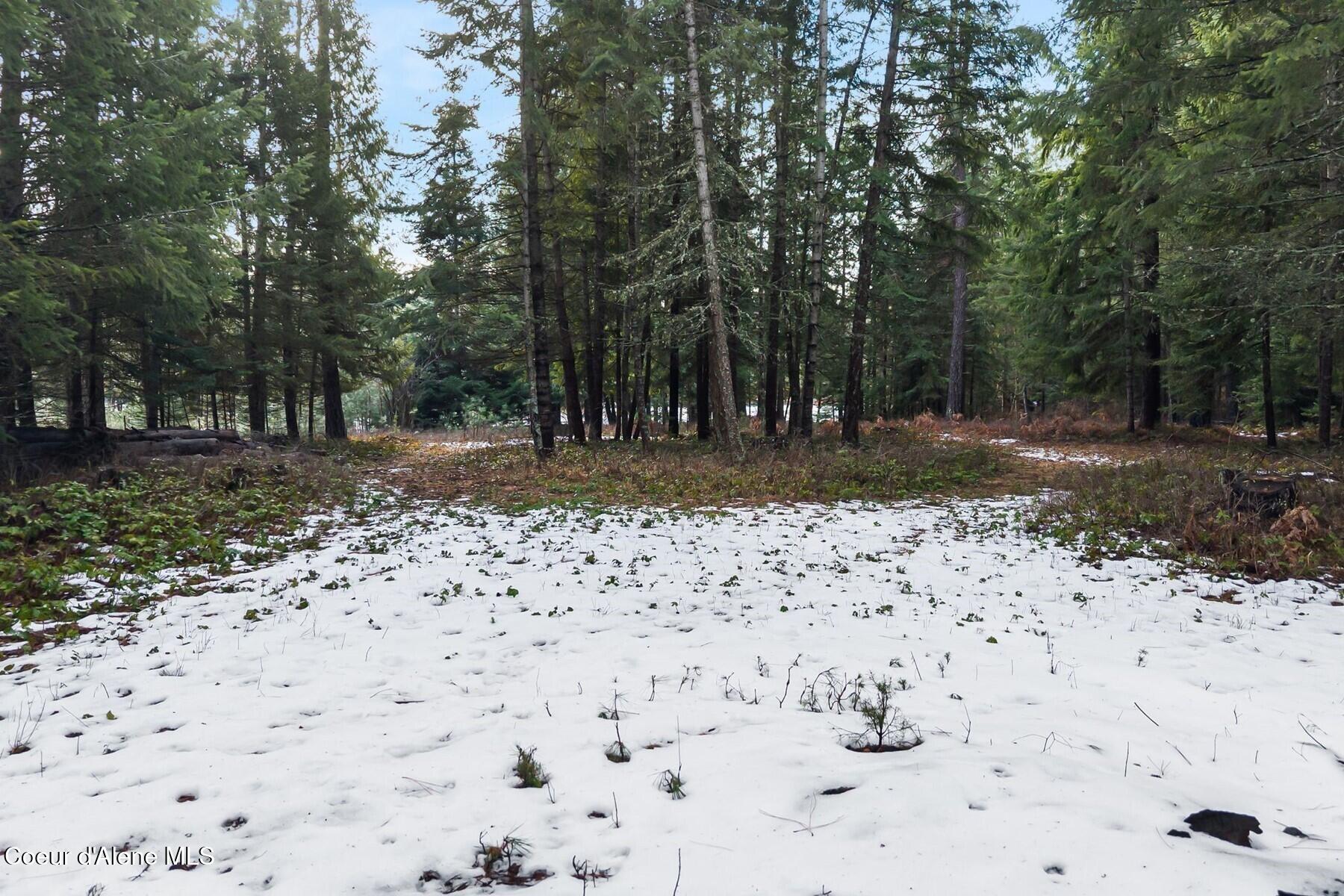 870-842 Samuels Road Sandpoint, ID 83864 - Photo 60 of 67 Enjoy Trees & Trails