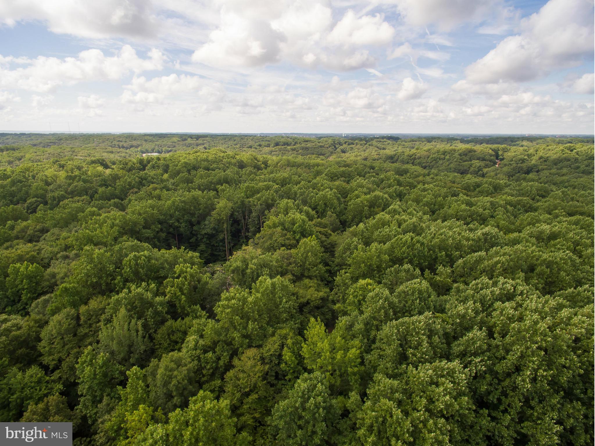 1420 Shot Town Road Annapolis, MD 21409 - Photo 15 of 22 Aerial view