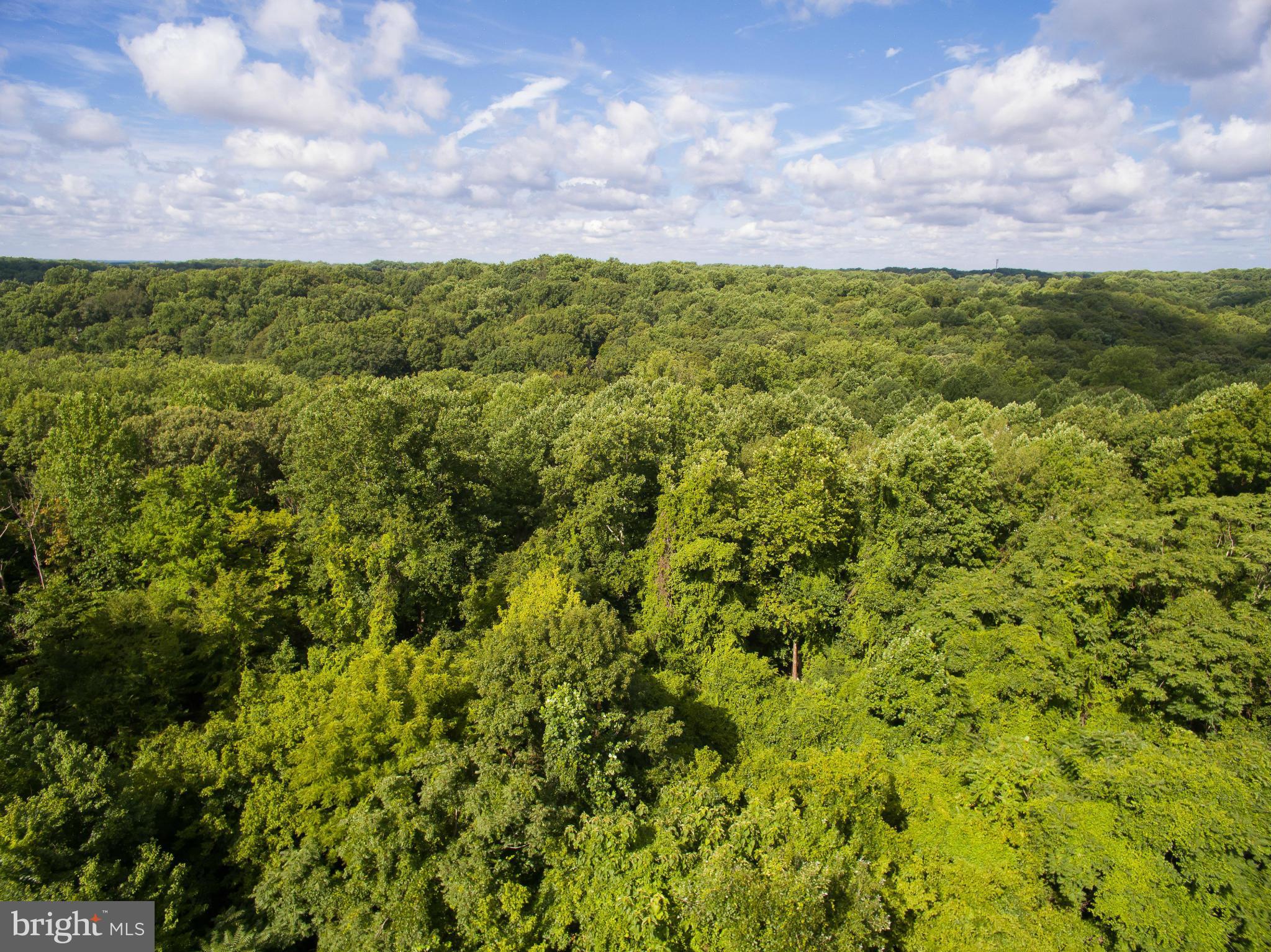 1420 Shot Town Road Annapolis, MD 21409 - Photo 20 of 22 Aerial view