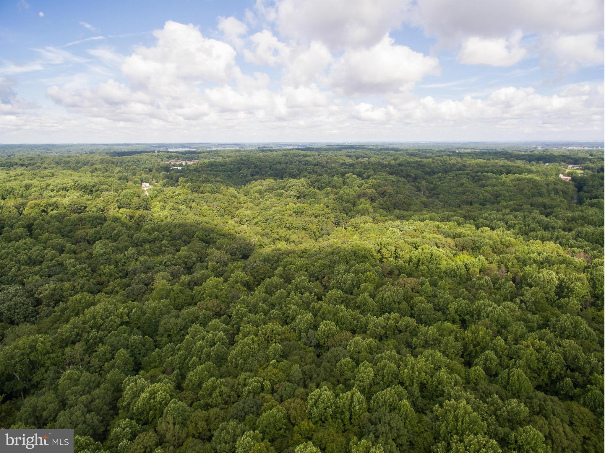 1420 Shot Town Road Annapolis, MD 21409 - Photo 21 of 22 Aerial view