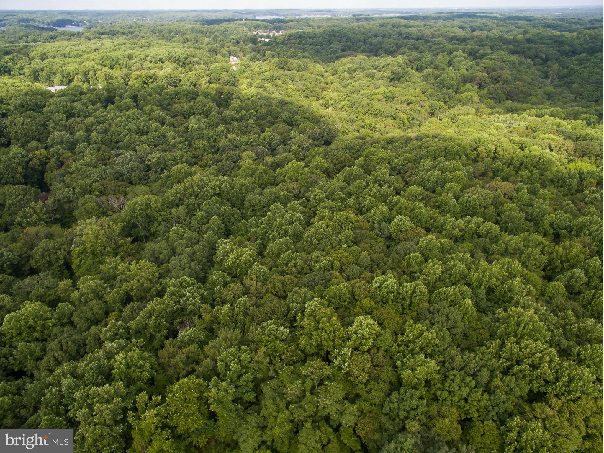 1420 Shot Town Road Annapolis, MD 21409 - Photo 9 of 22 Aerial view