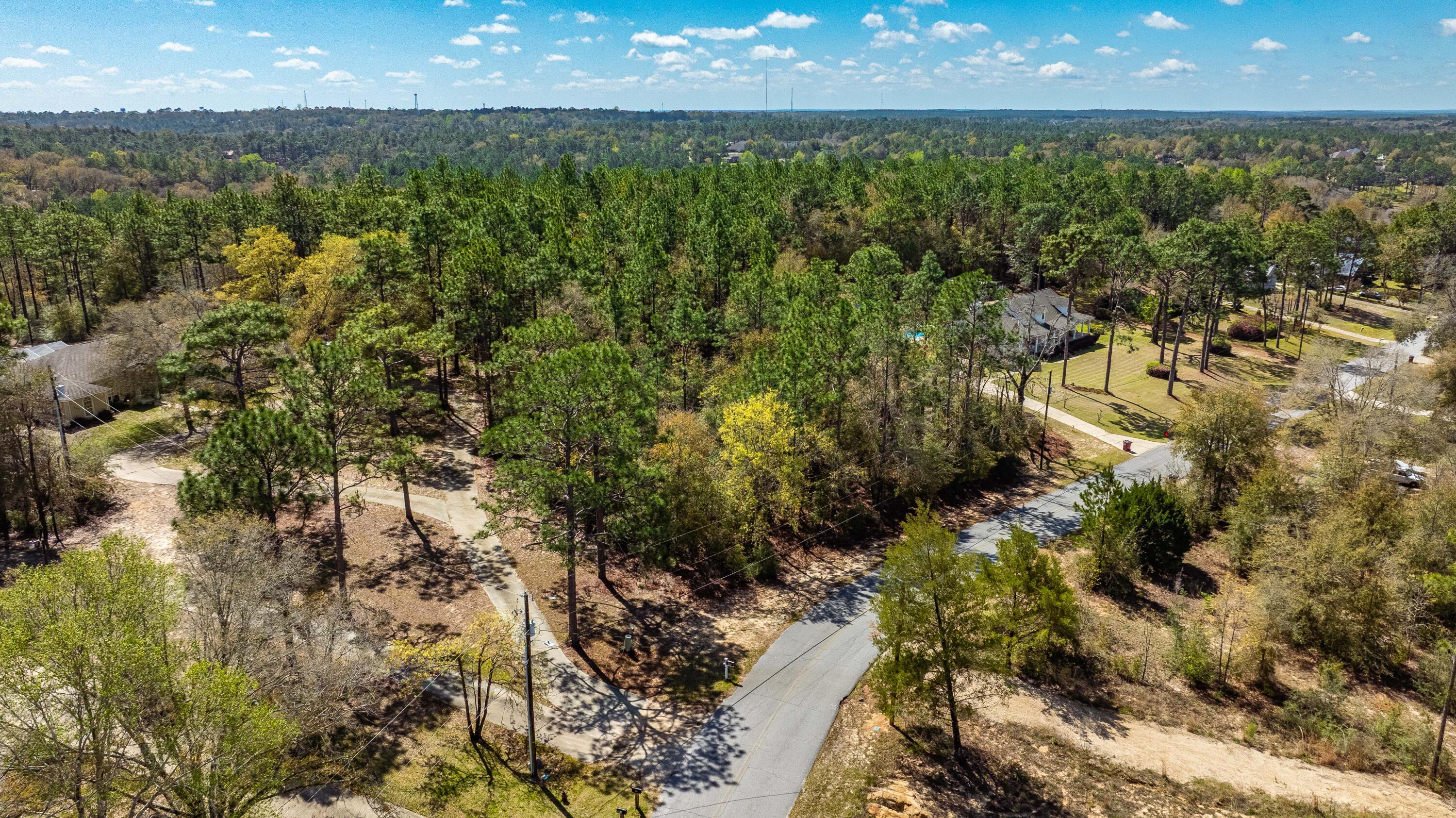 0 Ridge Lake Road Crestview, FL 32536 - Photo 6 of 9 a view of outdoor space and yard