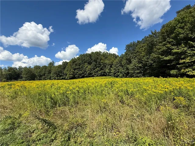 $59,900 | Cr-52, Orwell, NY 13144