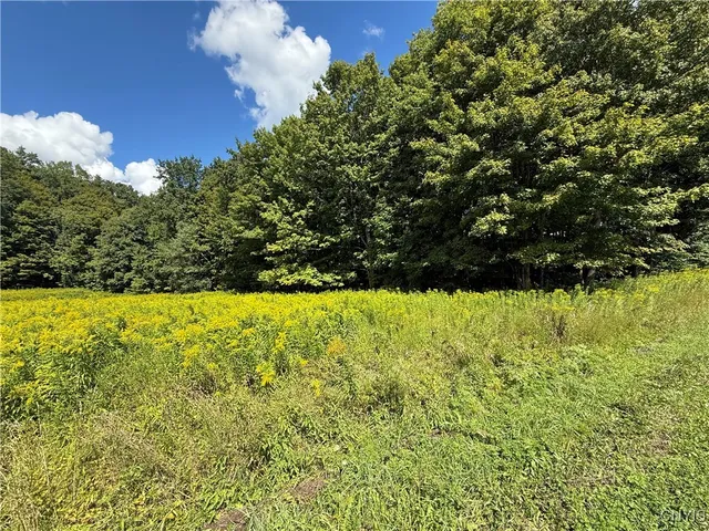 $59,900 | Cr-52, Orwell, NY 13144