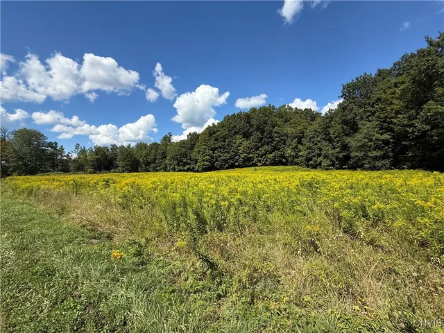 $59,900 | Cr-52, Orwell, NY 13144