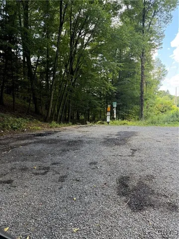 $59,900 | Cr-52, Orwell, NY 13144