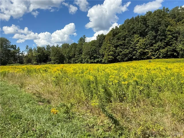 $59,900 | Cr-52, Orwell, NY 13144