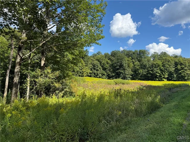 $59,900 | Cr-52, Orwell, NY 13144