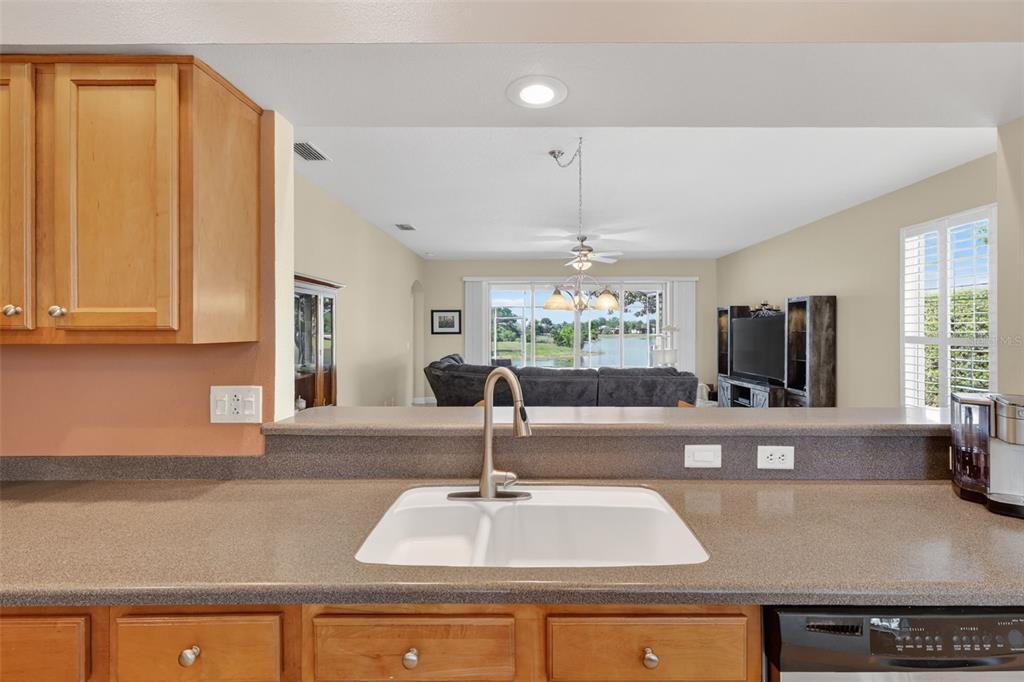 2359 Wakefield Way Mount Dora, FL 32757 - Photo 17 of 60