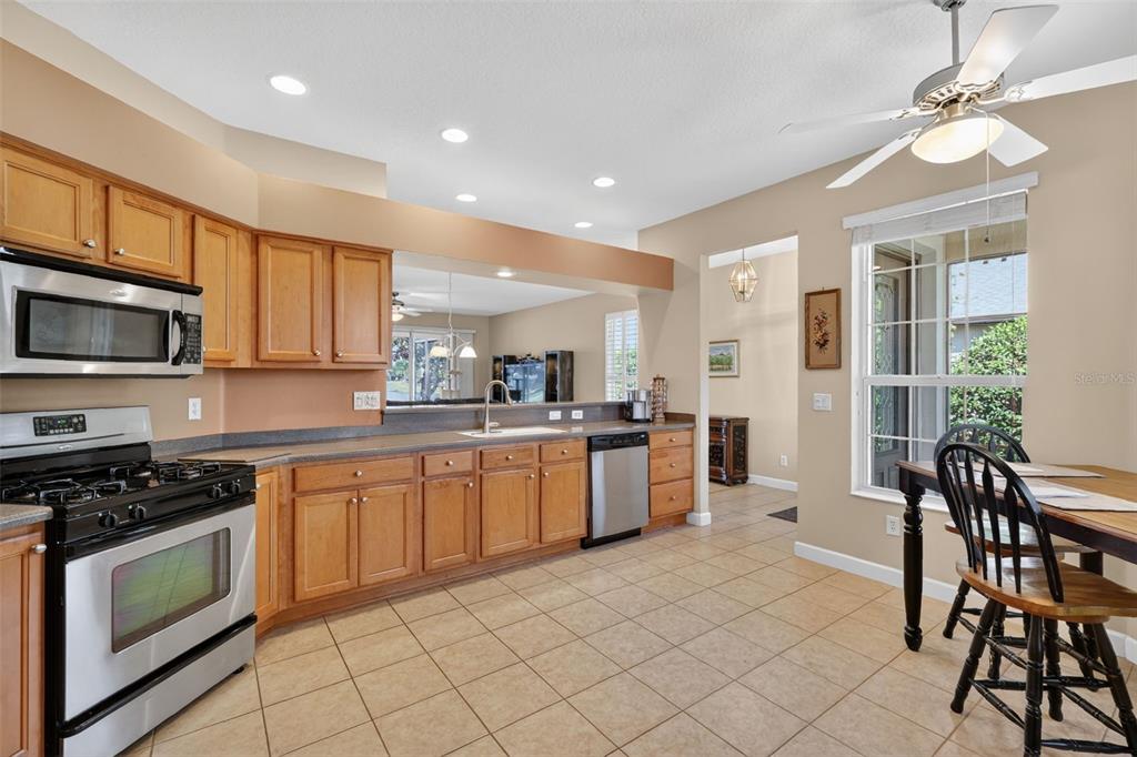 2359 Wakefield Way Mount Dora, FL 32757 - Photo 4 of 60