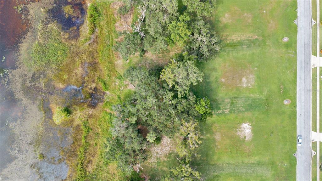 4816 Calasans Avenue St. Cloud, FL 34771 - Photo 3 of 10