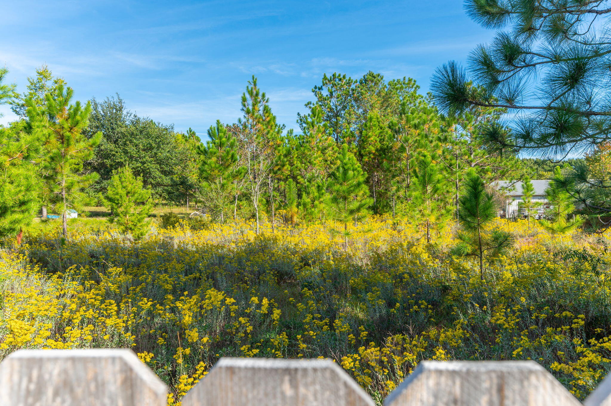 10152 American Farms Road Milton, FL 32583 - Photo 44 of 49 a view of outdoor space and yard