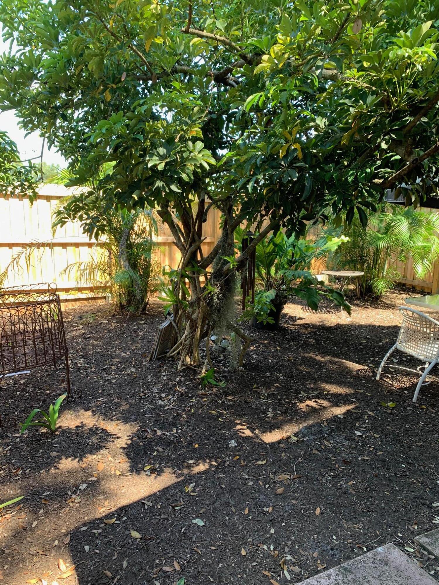 920 Mathis Street, Unit B Lake Worth, FL 33461 - Photo 21 of 21 mathis private yard