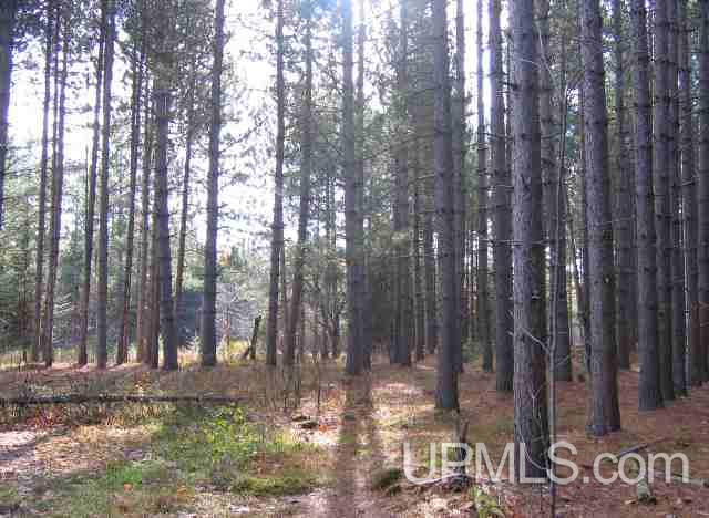 Tbd Ruonavaara Road Lake Linden, MI 49945 - Photo 24 of 32 Gallery Image 24