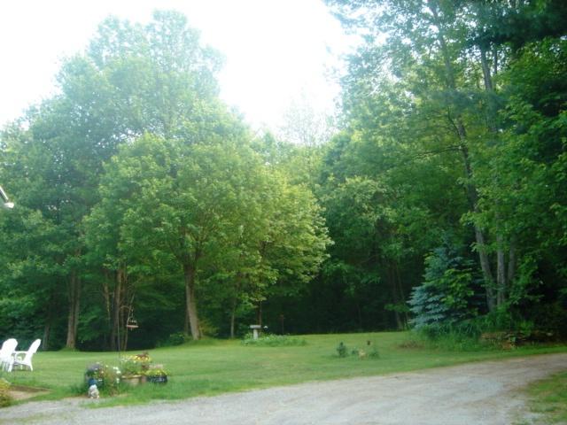 71 Old Middlefield Road Washington, MA 01223 - Photo 12 of 37 Yard