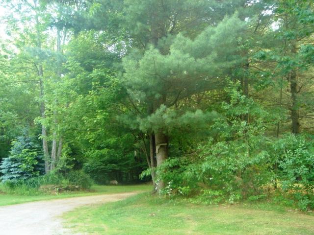 71 Old Middlefield Road Washington, MA 01223 - Photo 13 of 37 Driveway