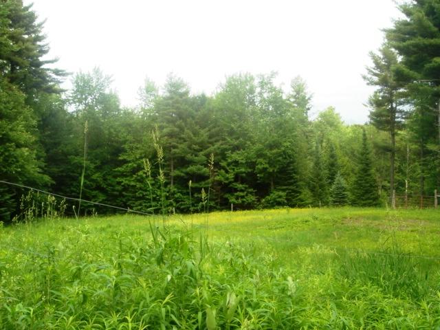 71 Old Middlefield Road Washington, MA 01223 - Photo 4 of 37 Pasture